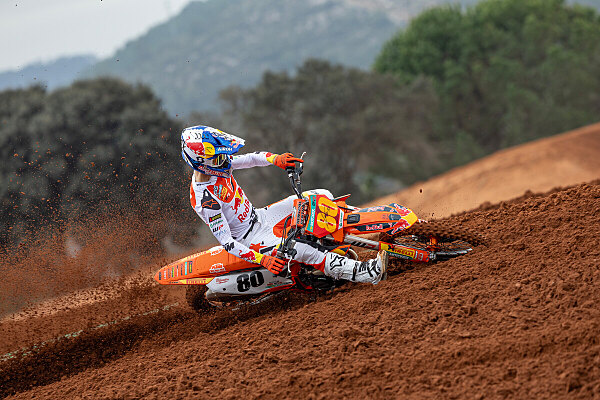 KTM 250 SX-F Adamo Edition 2025: replica da Mondiale MX2