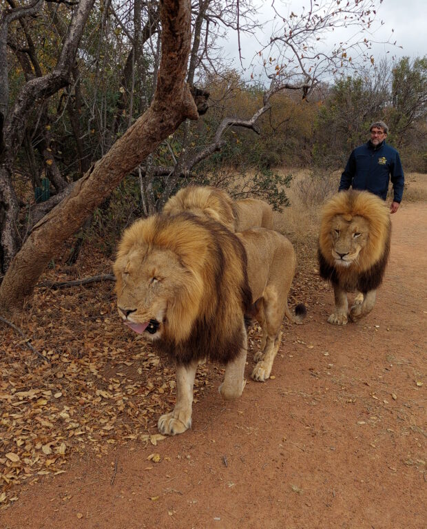 Transafrica 2023: 5000 km in moto dal Sudafrica alla Tanzania