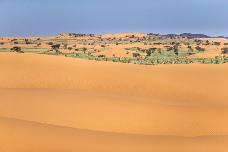 Africa Eco Race, Gerini sbaglia e Svitko allunga