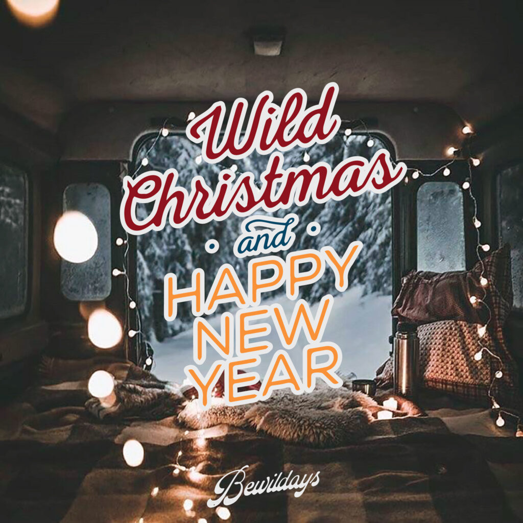 Wildays festeggia 5 anni: date e novità dell’edizione 2021