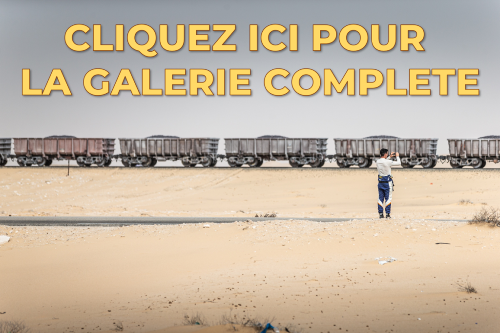 Africa Eco Race 2021: date, iscrizioni e novità per moto, auto e SSV