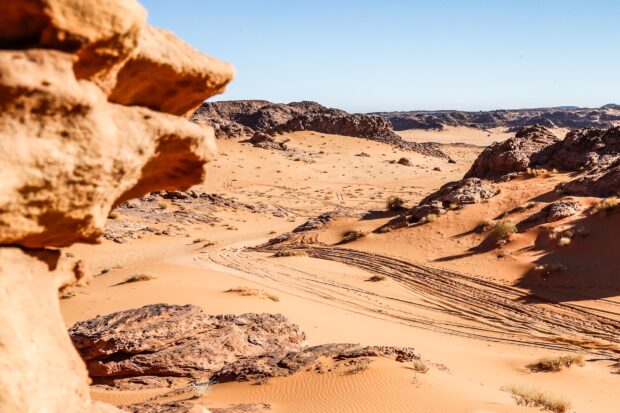 Yamaha parte forte in Qatar: quattro R1 nella top ten del WorldSBK