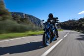 Suzuki GSX-8S Team Suzuki Edition: arriva la versione speciale