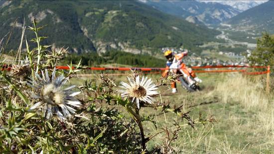 Trofeo Enduro KTM 2017, quinta prova spettacolo a Sauze d’Oulx