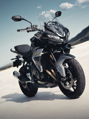 139819_colorazioni-triumph-2027_7.jpg